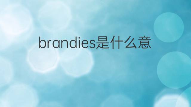 brandies是什么意思 brandies的翻译、读音、例句、中文解释