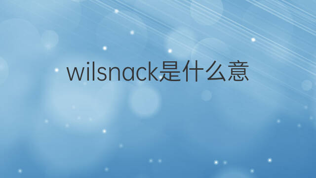 wilsnack是什么意思 wilsnack的中文翻译、读音、例句