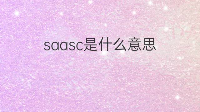 saasc是什么意思 saasc的中文翻译、读音、例句