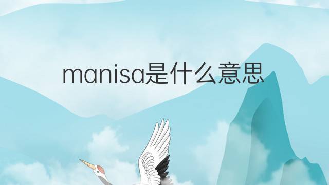manisa是什么意思 英文名manisa的翻译、发音、来源