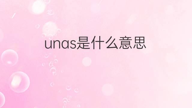 unas是什么意思 unas的中文翻译、读音、例句