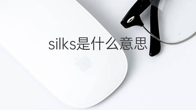 silks是什么意思 silks的中文翻译、读音、例句
