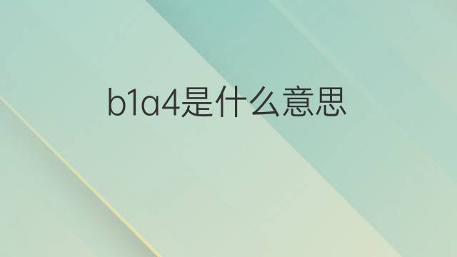 b1a4是什么意思 b1a4的中文翻译、读音、例句