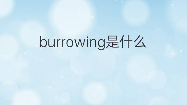 burrowing是什么意思 burrowing的中文翻译、读音、例句