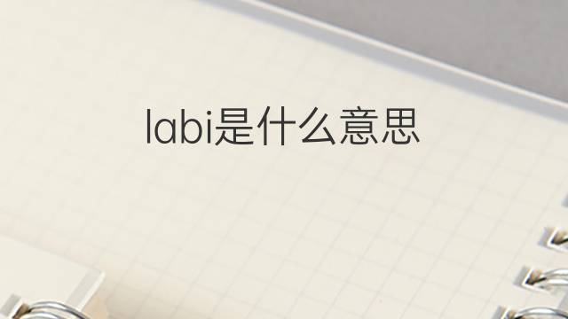 labi是什么意思 labi的翻译、读音、例句、中文解释
