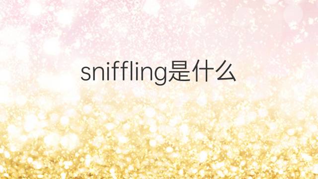sniffling是什么意思 sniffling的中文翻译、读音、例句