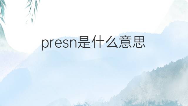 presn是什么意思 presn的翻译、读音、例句、中文解释