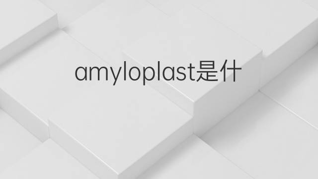 amyloplast是什么意思 amyloplast的翻译、读音、例句、中文解释