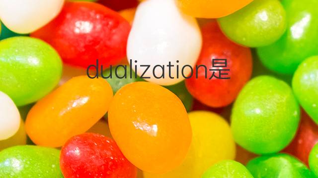 dualization是什么意思 dualization的中文翻译、读音、例句