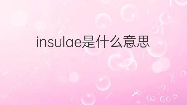 insulae是什么意思 insulae的中文翻译、读音、例句