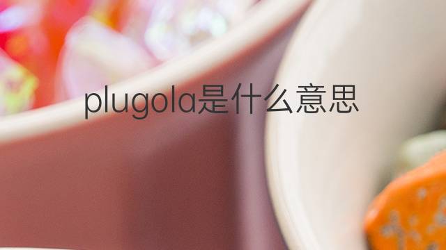plugola是什么意思 plugola的中文翻译、读音、例句