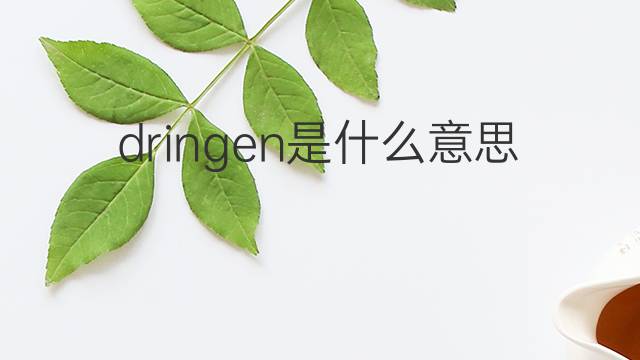 dringen是什么意思 dringen的中文翻译、读音、例句