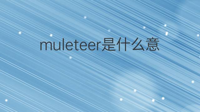 muleteer是什么意思 muleteer的翻译、读音、例句、中文解释
