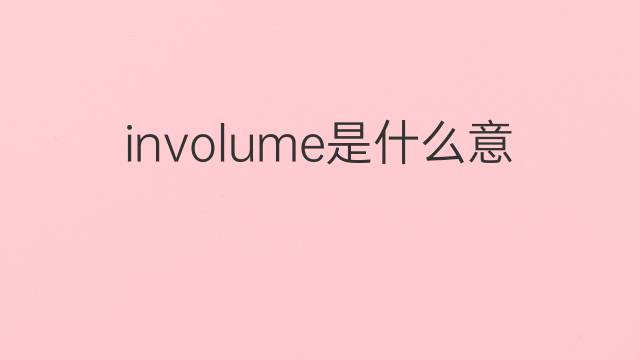 involume是什么意思 involume的中文翻译、读音、例句