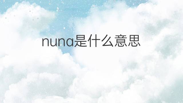 nuna是什么意思 nuna的中文翻译、读音、例句