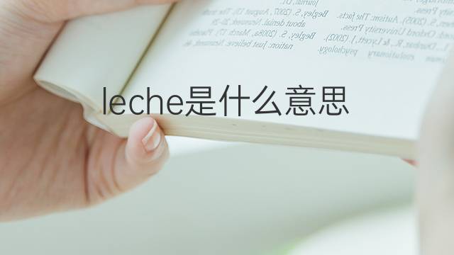 leche是什么意思 leche的中文翻译、读音、例句