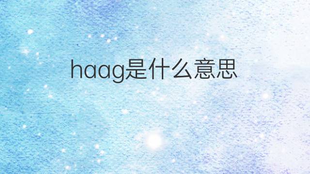 haag是什么意思 haag的翻译、读音、例句、中文解释