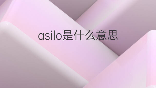 asilo是什么意思 asilo的中文翻译、读音、例句