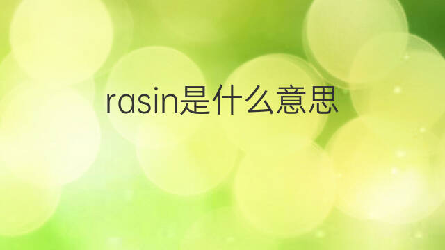 rasin是什么意思 rasin的中文翻译、读音、例句