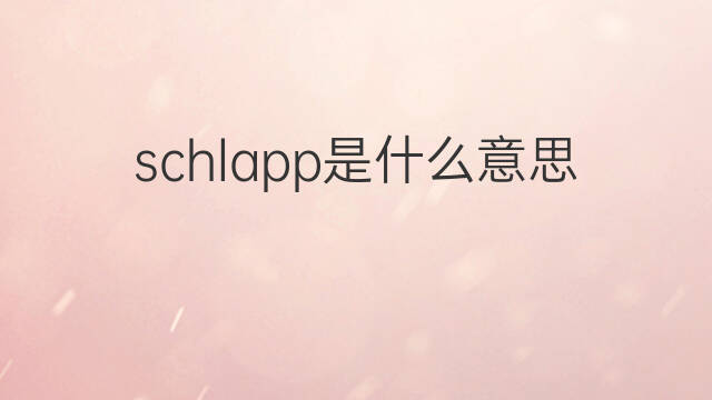 schlapp是什么意思 schlapp的中文翻译、读音、例句