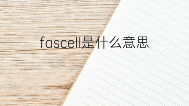 fascell是什么意思 fascell的中文翻译、读音、例句