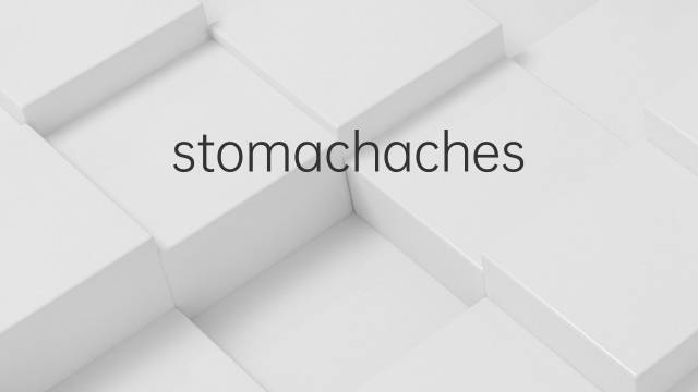 stomachaches是什么意思 stomachaches的中文翻译、读音、例句