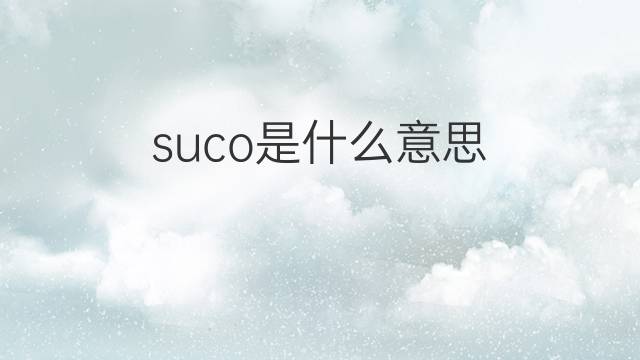 suco是什么意思 suco的中文翻译、读音、例句