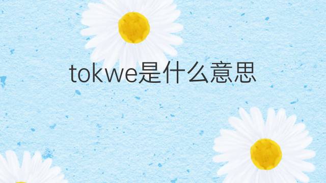 tokwe是什么意思 tokwe的中文翻译、读音、例句