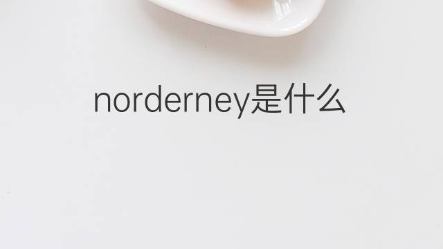norderney是什么意思 norderney的中文翻译、读音、例句