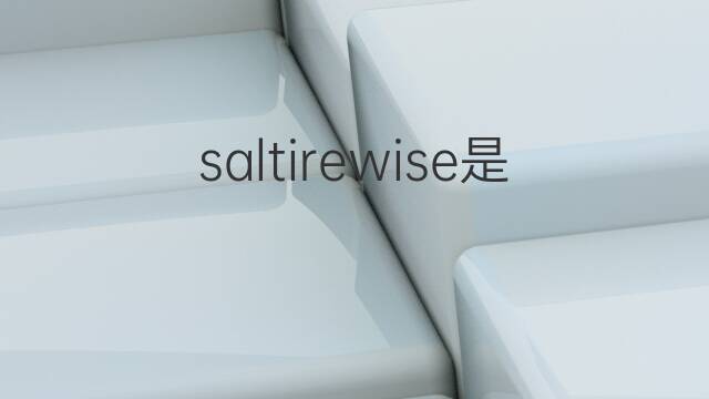 saltirewise是什么意思 saltirewise的中文翻译、读音、例句