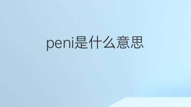 peni是什么意思 peni的中文翻译、读音、例句