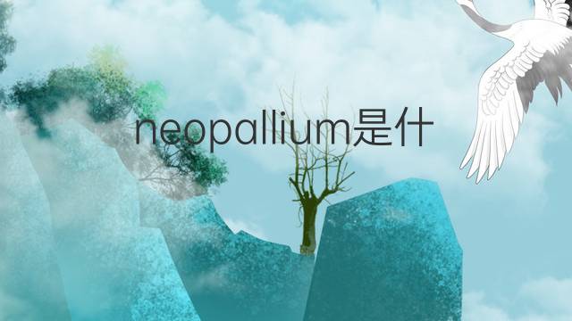 neopallium是什么意思 neopallium的中文翻译、读音、例句