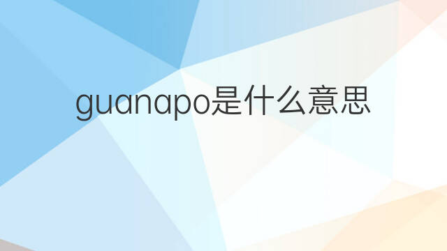 guanapo是什么意思 guanapo的中文翻译、读音、例句