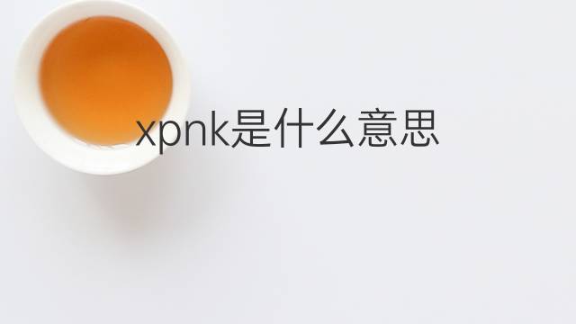 xpnk是什么意思 xpnk的中文翻译、读音、例句