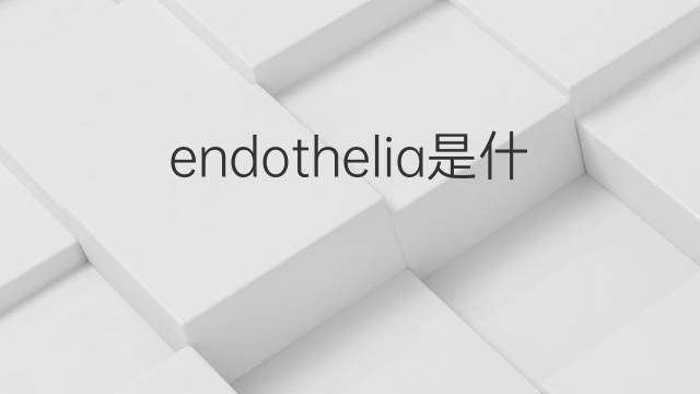 endothelia是什么意思 endothelia的中文翻译、读音、例句