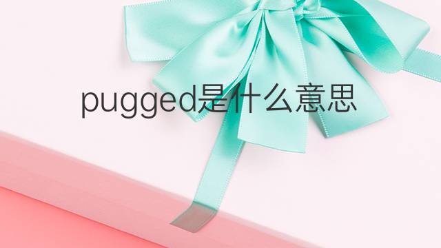 pugged是什么意思 pugged的中文翻译、读音、例句