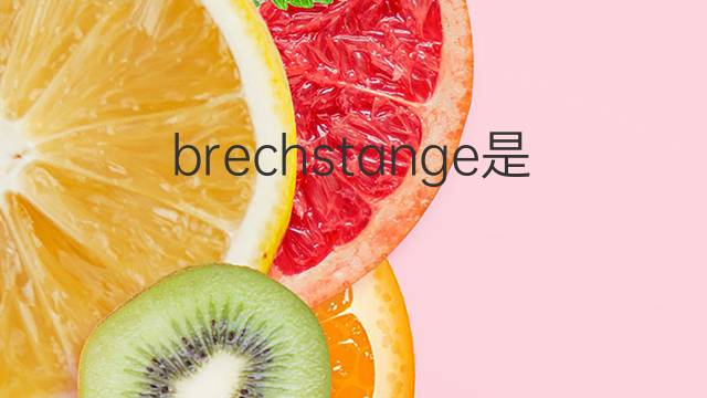 brechstange是什么意思 brechstange的中文翻译、读音、例句