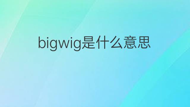 bigwig是什么意思 bigwig的中文翻译、读音、例句