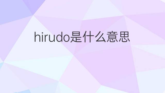 hirudo是什么意思 hirudo的中文翻译、读音、例句
