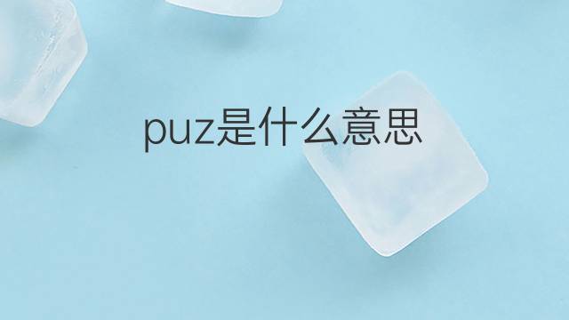 puz是什么意思 puz的中文翻译、读音、例句