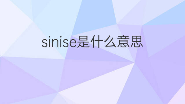 sinise是什么意思 sinise的中文翻译、读音、例句