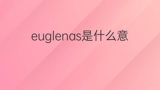 euglenas是什么意思 euglenas的翻译、读音、例句、中文解释