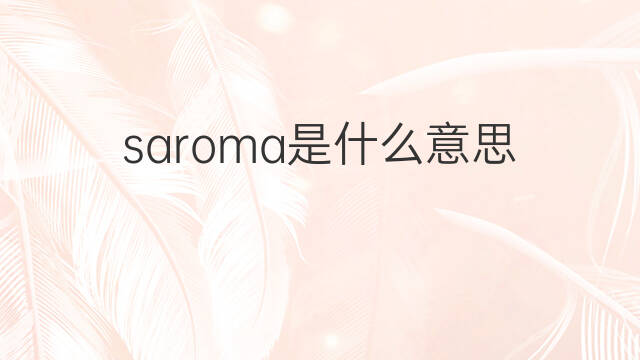 saroma是什么意思 saroma的中文翻译、读音、例句