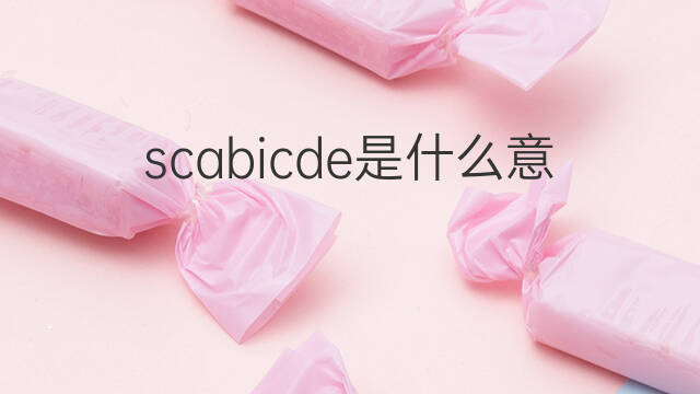 scabicde是什么意思 scabicde的中文翻译、读音、例句