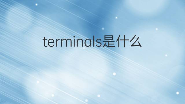 terminals是什么意思 terminals的中文翻译、读音、例句