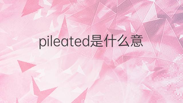 pileated是什么意思 pileated的中文翻译、读音、例句