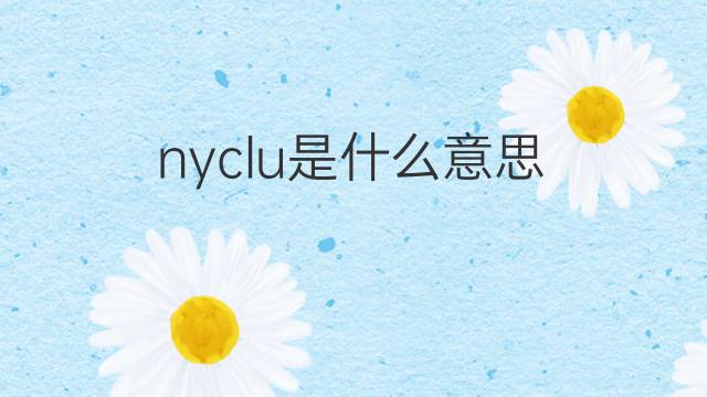 nyclu是什么意思 nyclu的中文翻译、读音、例句