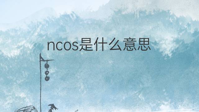 ncos是什么意思 ncos的中文翻译、读音、例句
