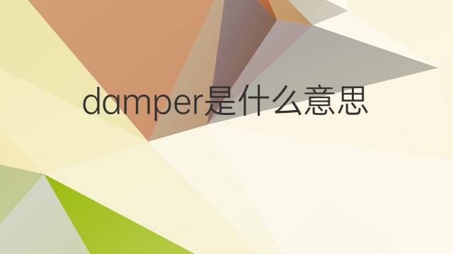 damper是什么意思 damper的中文翻译、读音、例句