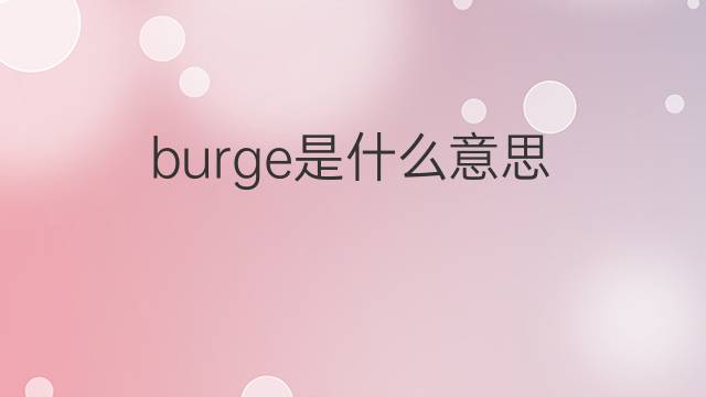 burge是什么意思 burge的中文翻译、读音、例句